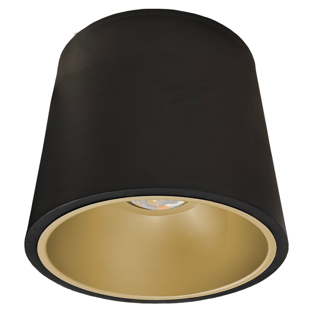1.1 CMC12-MCTP-D-BK Image gold reflector.jpg